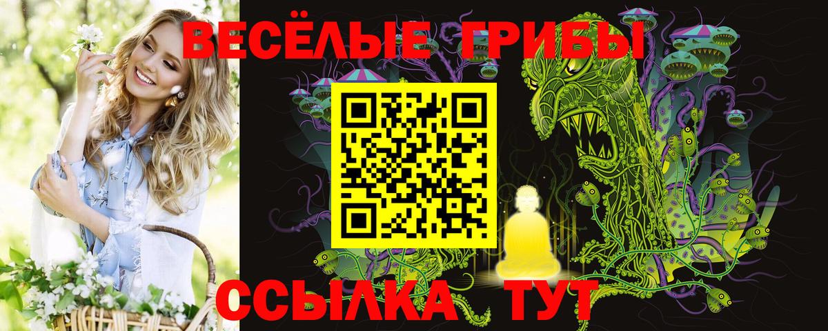 Псилоцибиновые грибы Psilocybe  купить наркоту  Вход с VPN  Зеленодольск  Галлюциногенные грибы Cubensis 